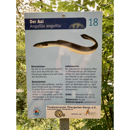 europe2019_web - 429