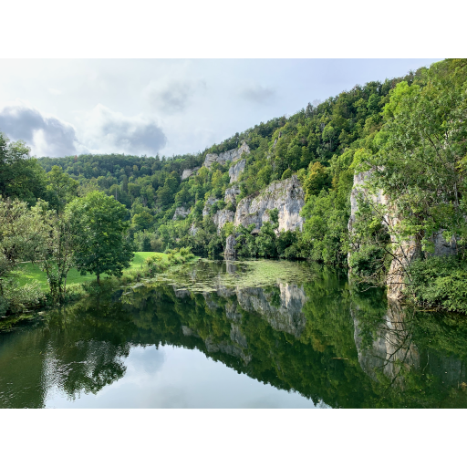 europe2019_web - 431