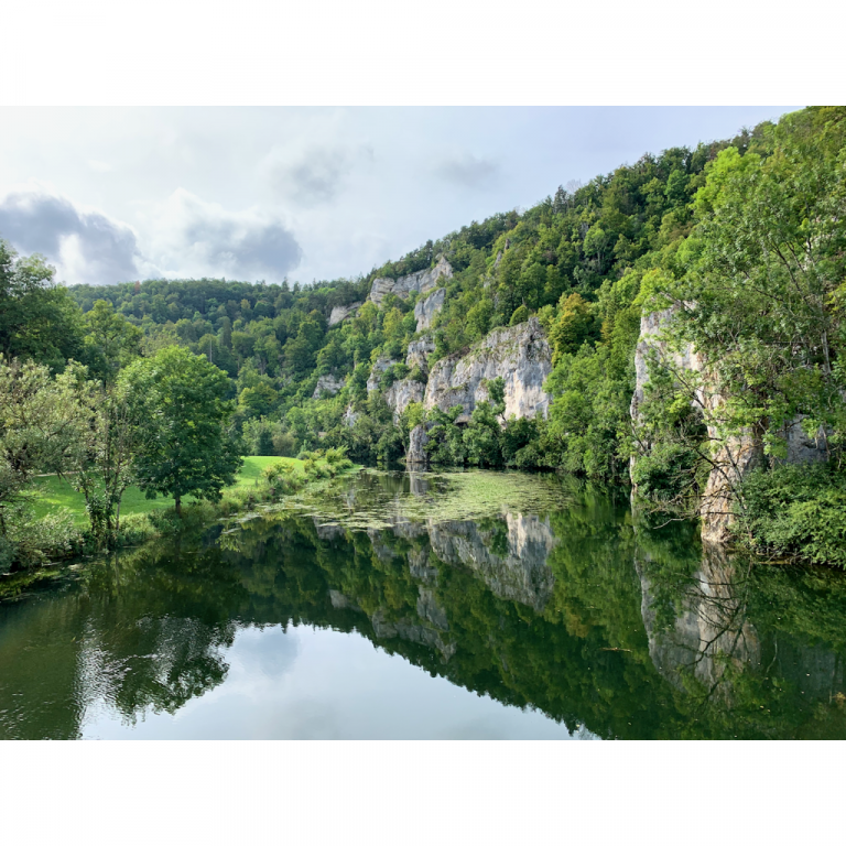 europe2019_web - 431