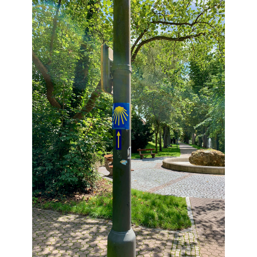 europe2019_web - 467