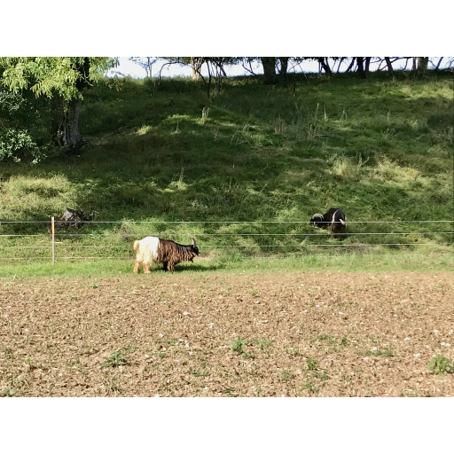 europe2019_web - 470