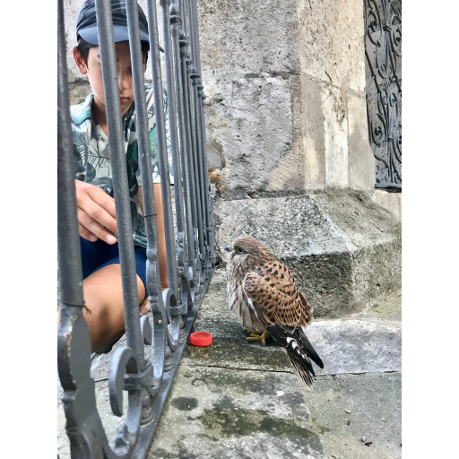 europe2019_web - 493