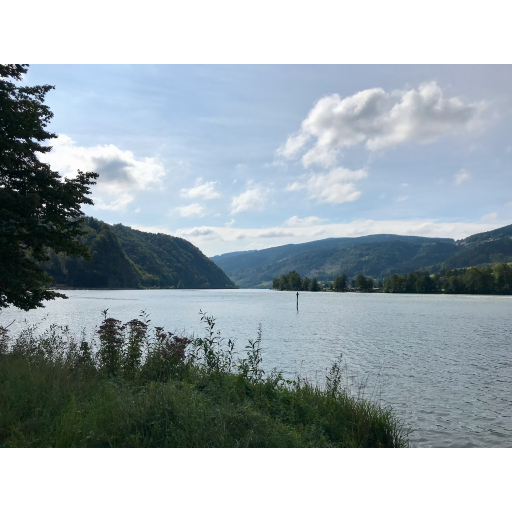 europe2019_web - 529