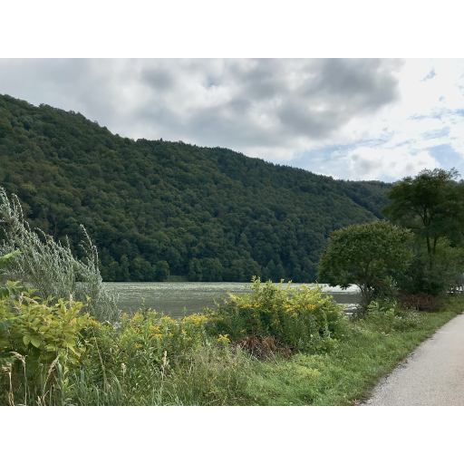 europe2019_web - 530