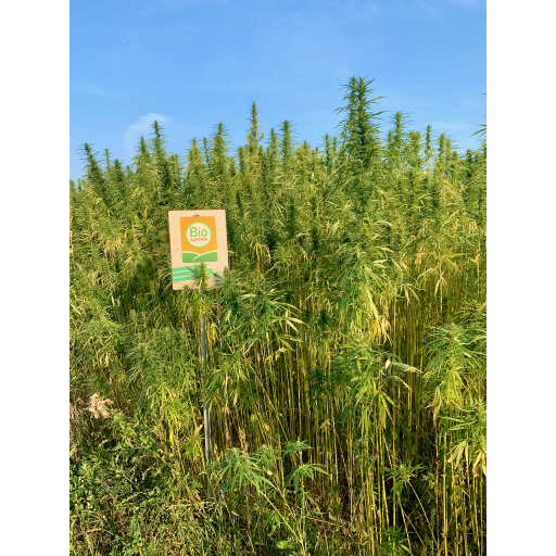 europe2019_web - 555