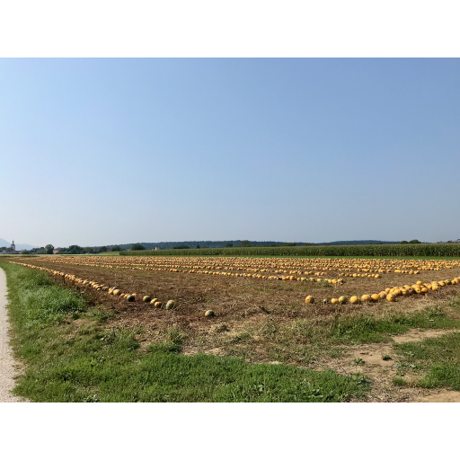 europe2019_web - 583