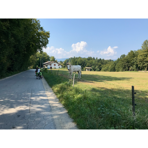 europe2019_web - 586