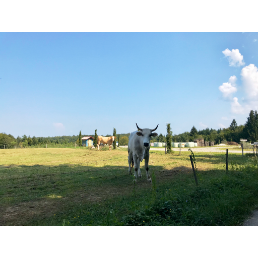 europe2019_web - 587