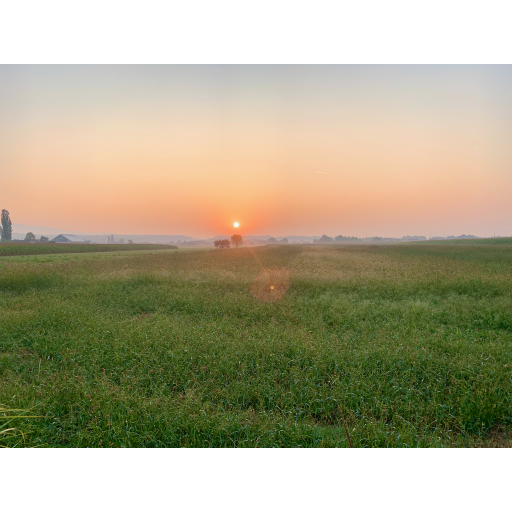 europe2019_web - 589