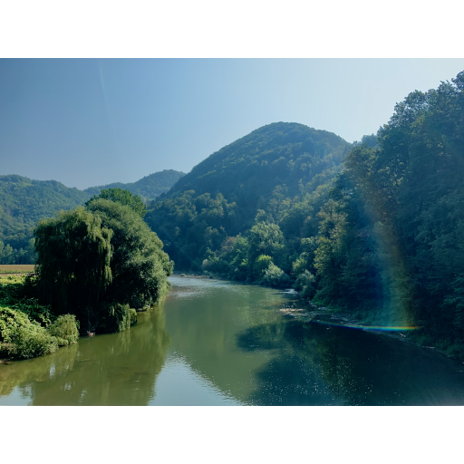 europe2019_web - 594