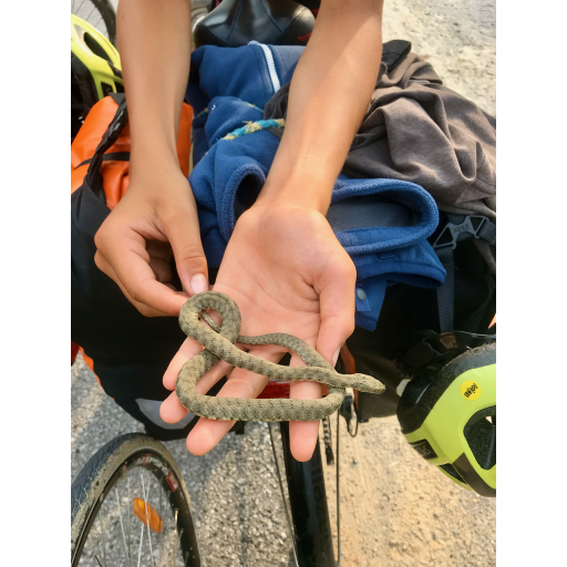 europe2019_web - 599