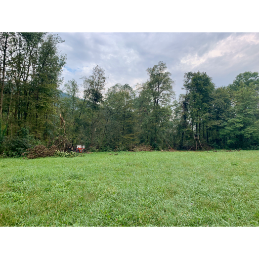 europe2019_web - 603