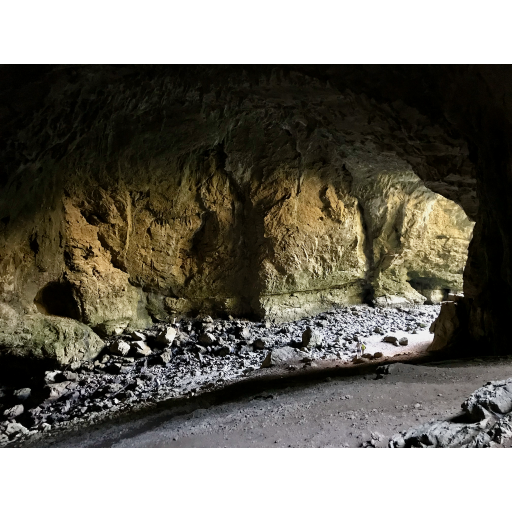 europe2019_web - 630