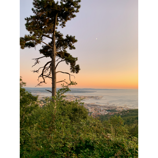 europe2019_web - 641