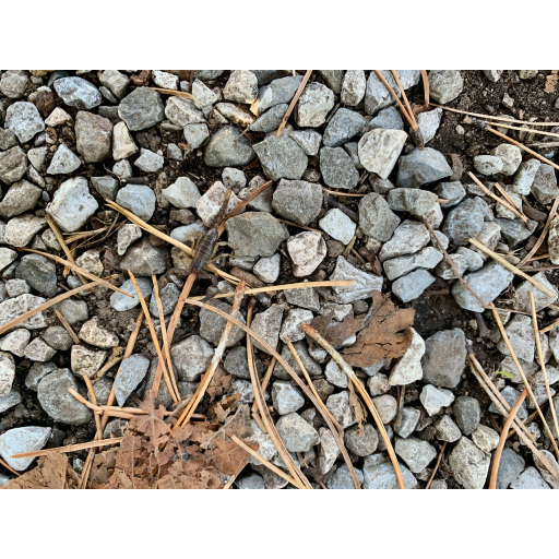 europe2019_web - 642