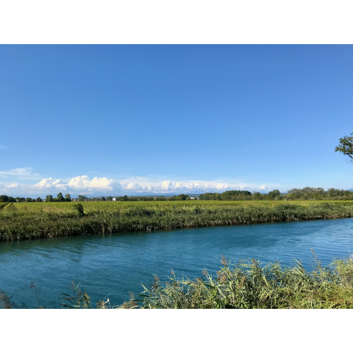 europe2019_web - 649