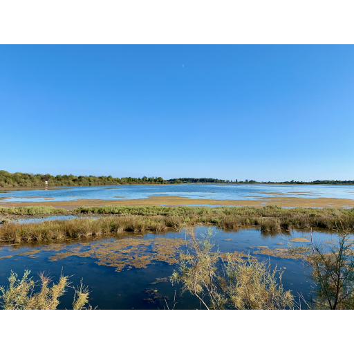 europe2019_web - 651