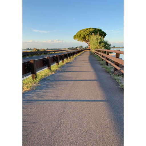 europe2019_web - 653