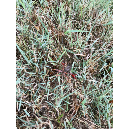 europe2019_web - 661