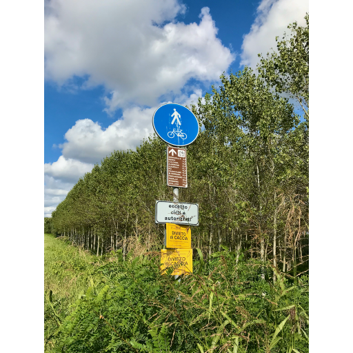 europe2019_web - 695