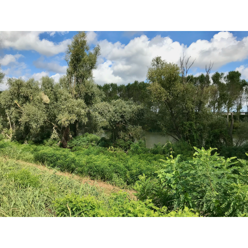 europe2019_web - 697