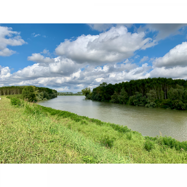 europe2019_web - 698 - 1