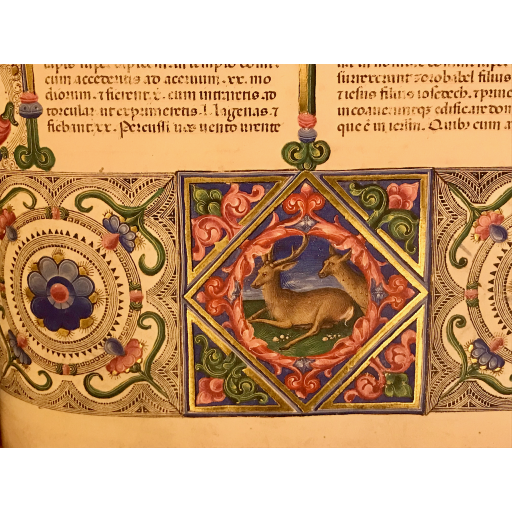 europe2019_web - 707