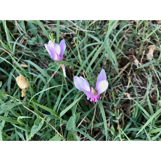 europe2019_web - 739