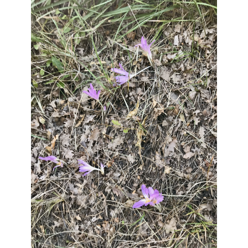 europe2019_web - 741