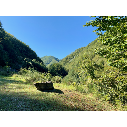 europe2019_web - 747