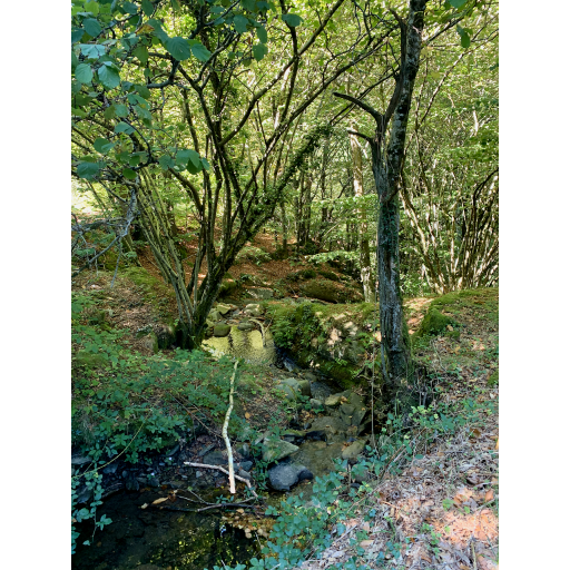 europe2019_web - 749