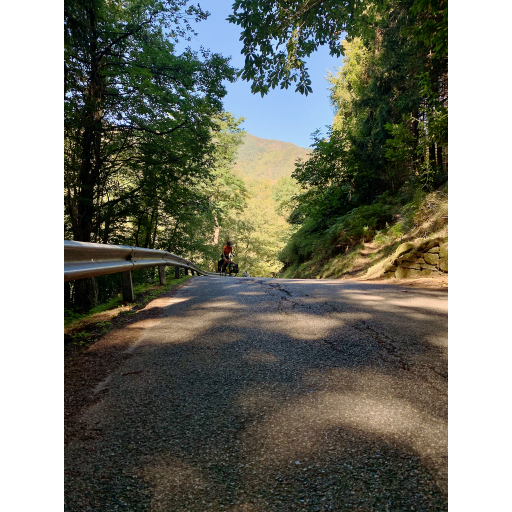 europe2019_web - 750