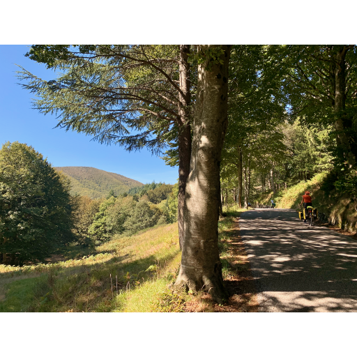 europe2019_web - 751