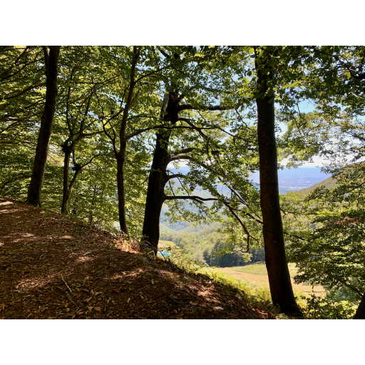 europe2019_web - 752