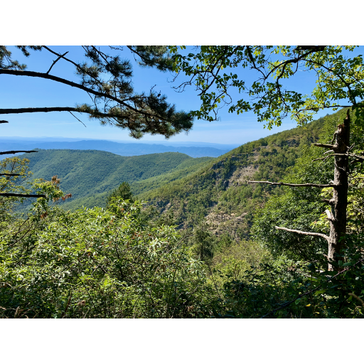 europe2019_web - 753