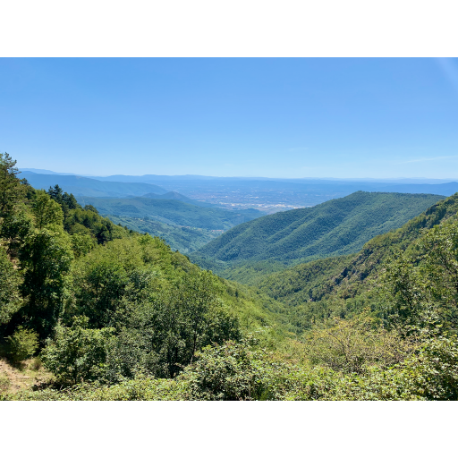 europe2019_web - 755