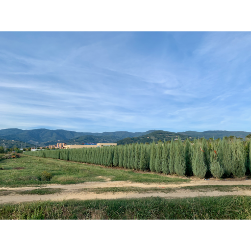 europe2019_web - 764