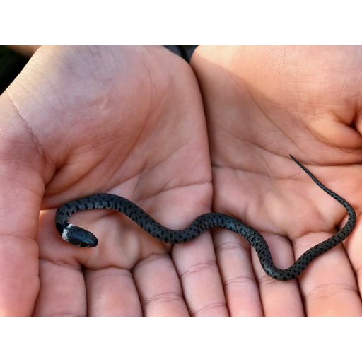 europe2019_web - 766