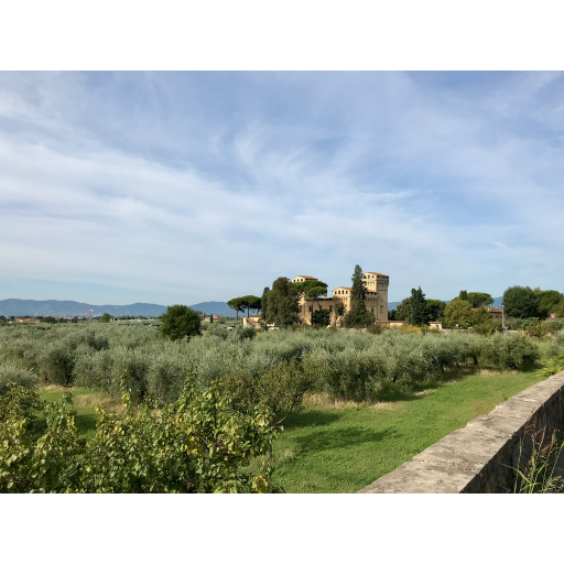 europe2019_web - 768