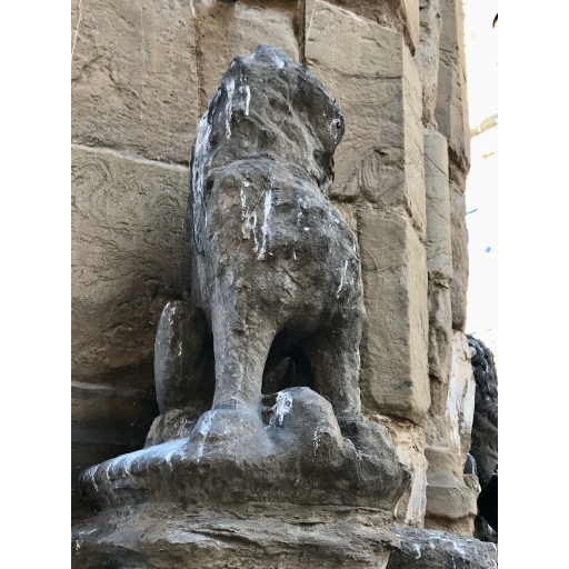 europe2019_web - 788