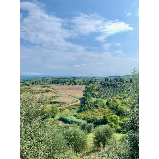 europe2019_web - 814