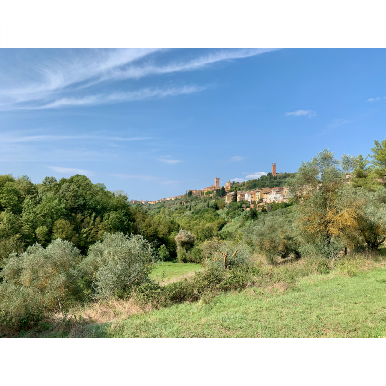 europe2019_web - 815