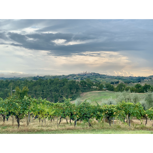 europe2019_web - 818