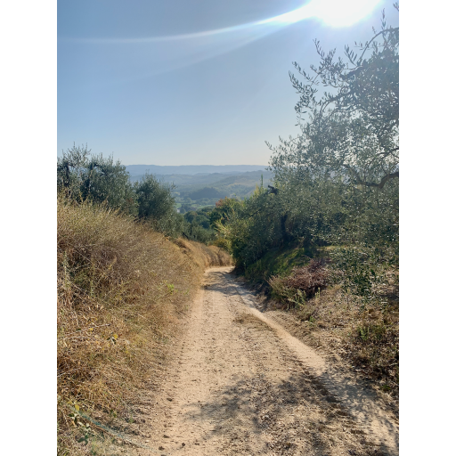 europe2019_web - 825