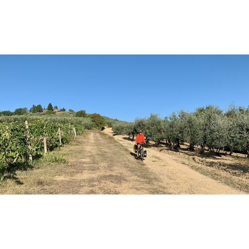 europe2019_web - 826