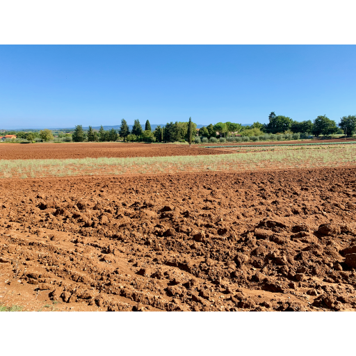 europe2019_web - 829