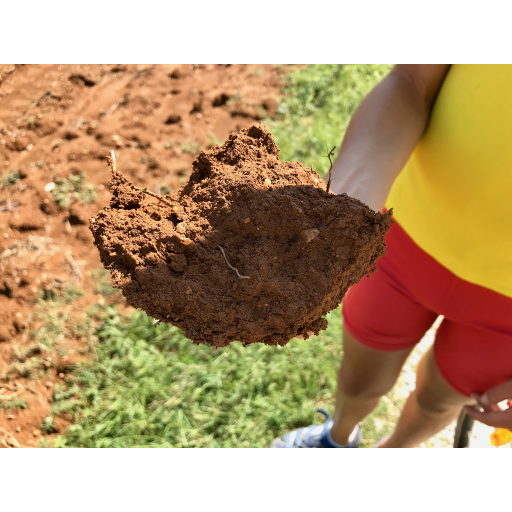 europe2019_web - 831