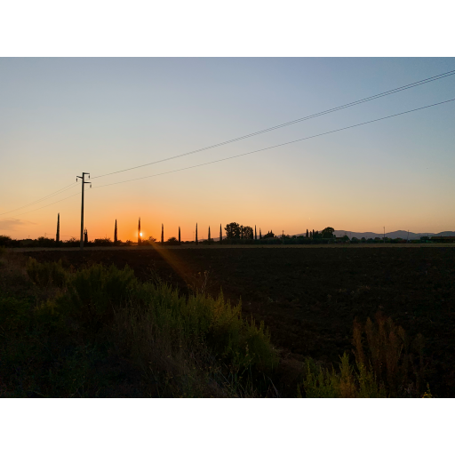 europe2019_web - 839