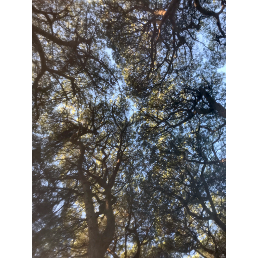 europe2019_web - 840