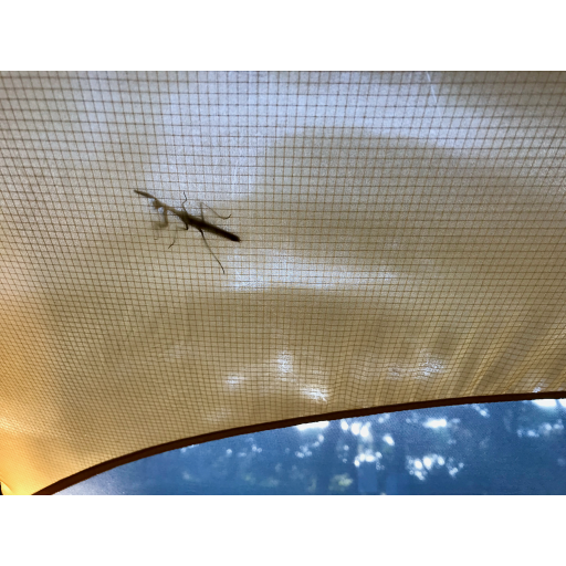 europe2019_web - 841